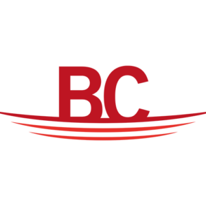 recambio suspensiones